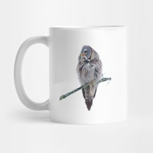 Just chillin - Great Grey Owl Mug